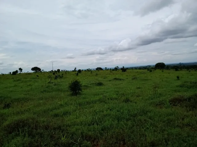 Imagem 9: Fazenda em Barra do Garças-Mt