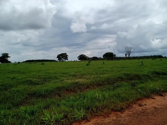 Imagem 2: Fazenda em Barra do Garças-Mt