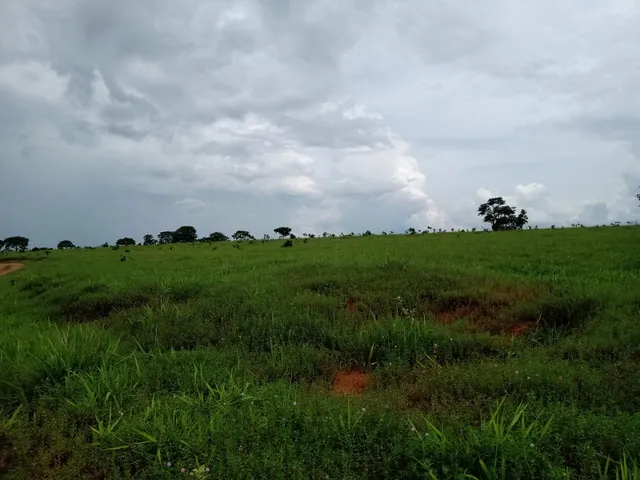 Imagem 4: Fazenda em Barra do Garças-Mt