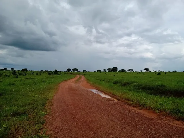 Imagem 6: Fazenda em Barra do Garças-Mt