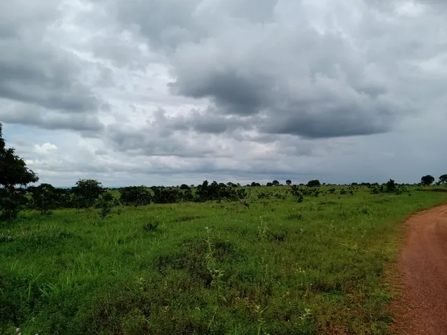 Imagem 3: Fazenda em Barra do Garças-Mt
