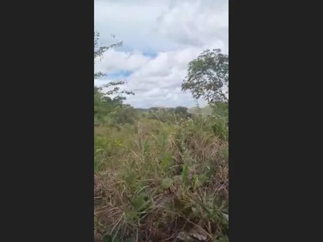 Imagem 5: Oportunidade na Linha Verde