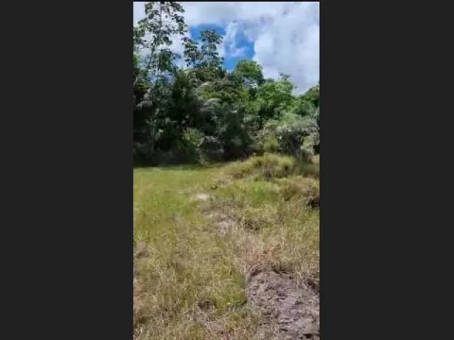 Imagem 4: Oportunidade na Linha Verde