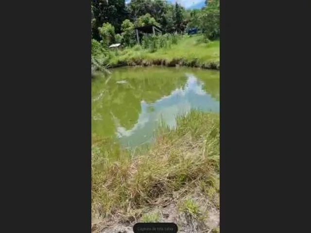 Imagem 8: Oportunidade na Linha Verde