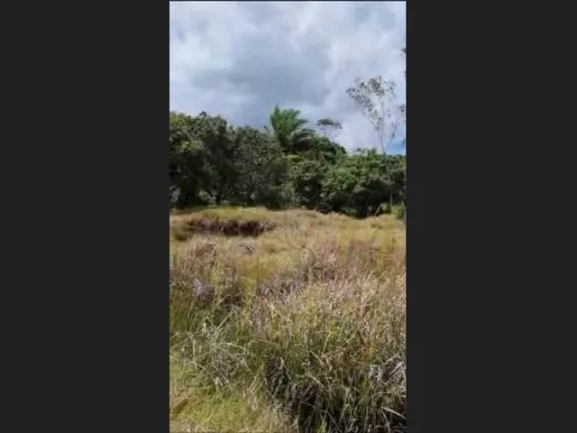 Imagem 10: Oportunidade na Linha Verde