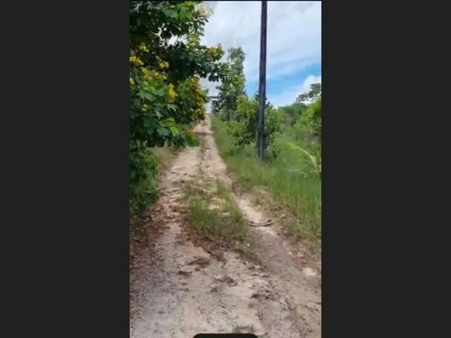 Imagem 2: Oportunidade na Linha Verde