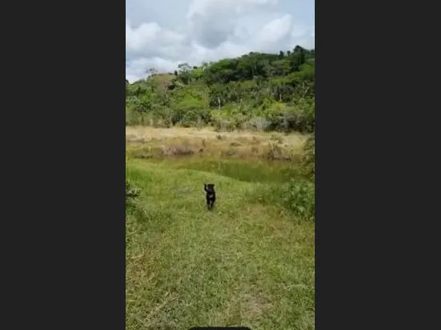 Imagem 14: Oportunidade na Linha Verde