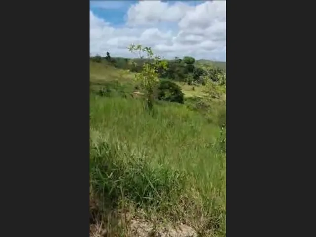 Imagem 7: Oportunidade na Linha Verde
