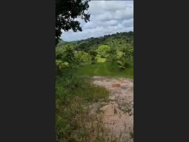 Imagem 6: Oportunidade na Linha Verde