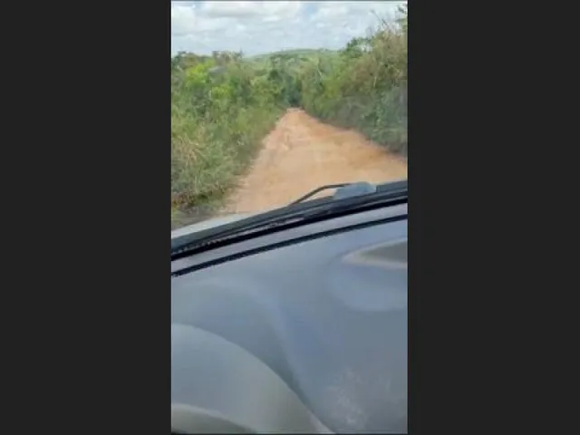 Imagem 11: Oportunidade na Linha Verde