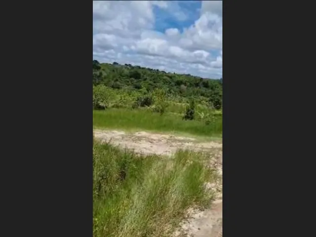 Imagem 12: Oportunidade na Linha Verde