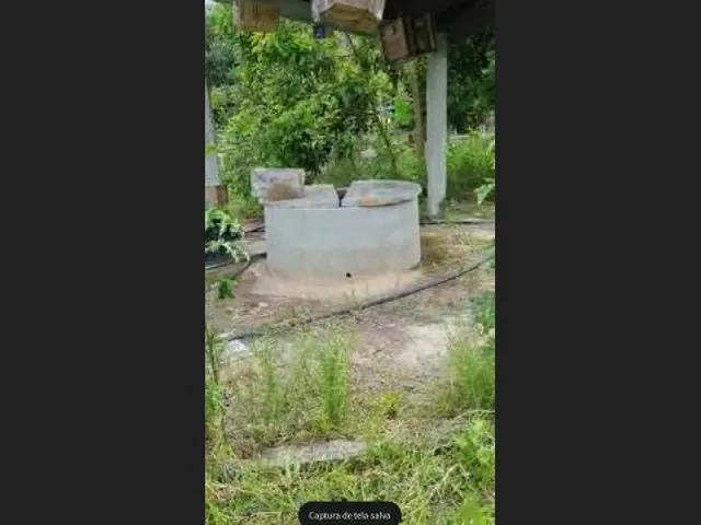 Imagem 15: Oportunidade na Linha Verde