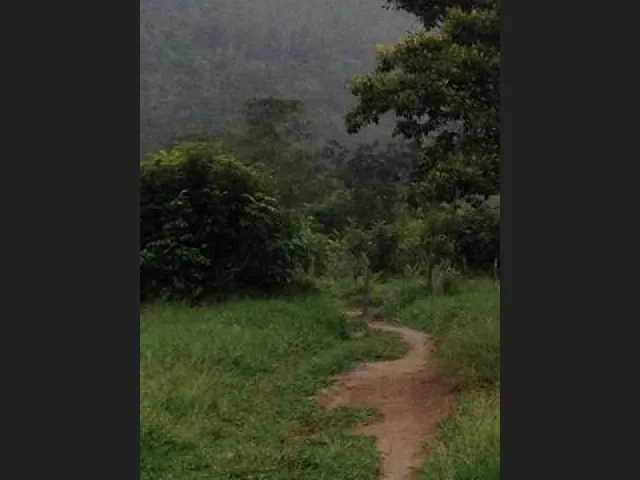 Imagem: Excelente Fazenda em Lençóis