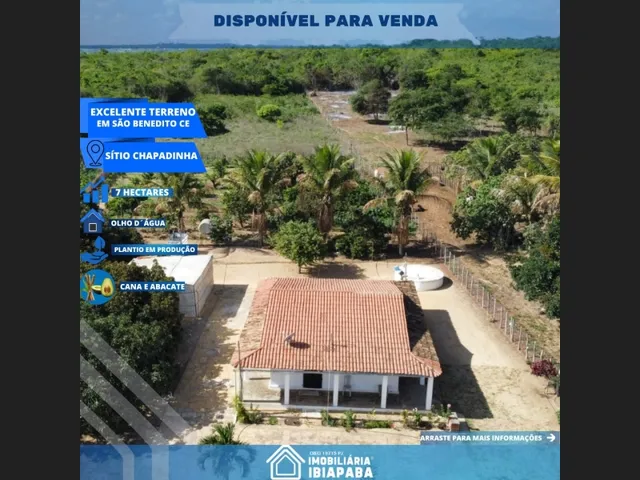 Imagem: Excelente Sítio Disponível para Venda