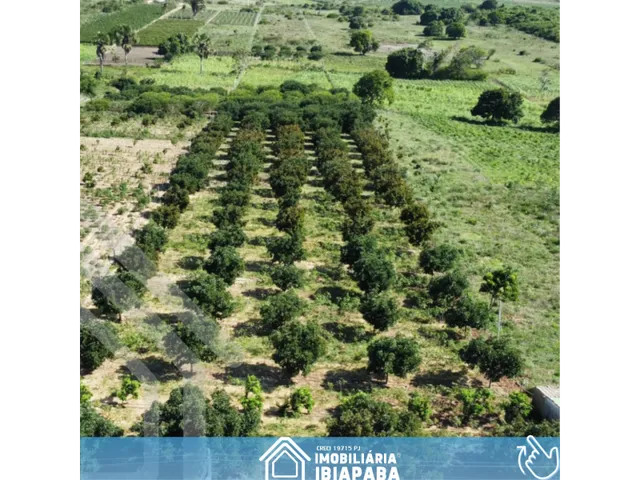 Imagem 2: Excelente Sítio Disponível para Venda com 7 Hectares em São Benedito!