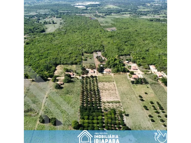 Imagem 4: Excelente Sítio Disponível para Venda com 7 Hectares em São Benedito!