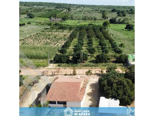 Imagem 6: Excelente Sítio Disponível para Venda com 7 Hectares em São Benedito!