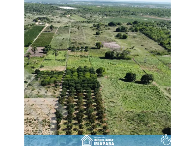 Imagem 8: Excelente Sítio Disponível para Venda com 7 Hectares em São Benedito!