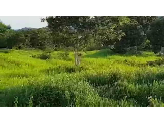 Imagem: 290 Alqs Boa Água Terra e Logística Região