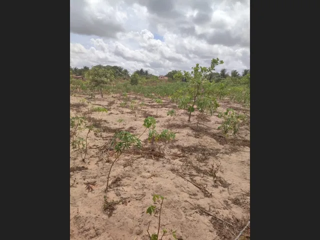Imagem: Terreno 10.874M2 Córrego da Volta - Itarema-Ce