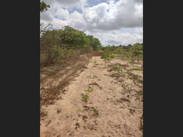 Imagem 4: Terreno 10.874M2 Córrego da Volta - Itarema-Ce