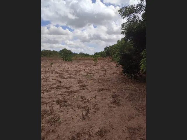 Imagem: Lotes 10X60M 300M do Balneário, Córrego