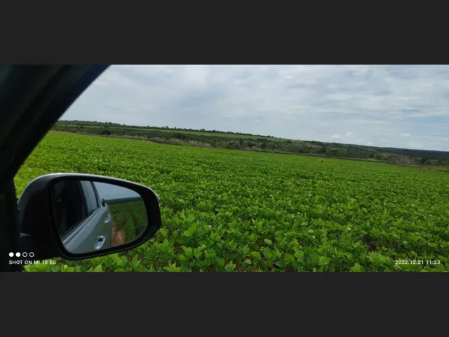 Imagem: 330 Alqs Arrendamento Disponivel P Soja