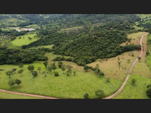Imagem 1: Fazenda de 138 Há em Carmópolis de Minas Mg