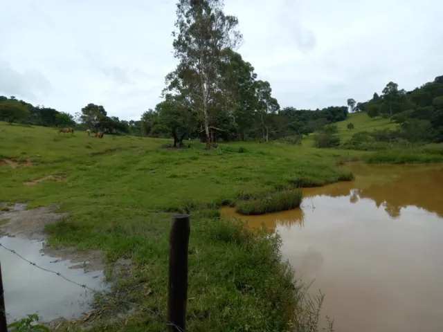 Imagem 2: Fazenda de 138 Há em Carmópolis de Minas Mg