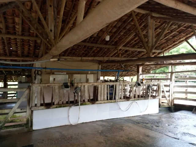 Imagem 13: Fazenda de 138 Há em Carmópolis de Minas Mg