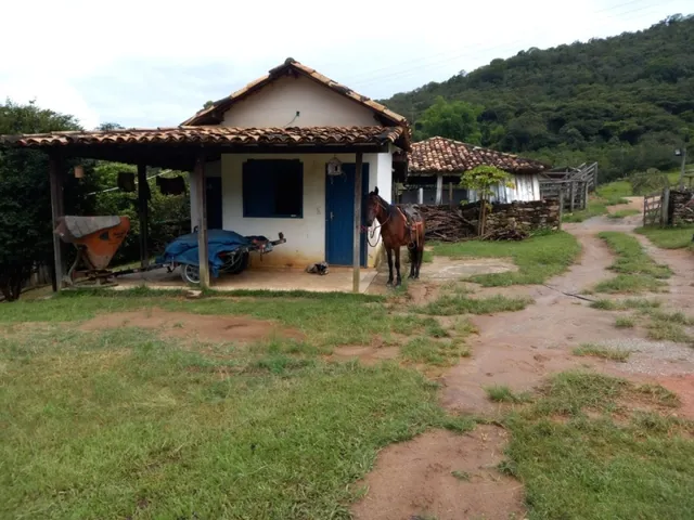 Imagem 15: Fazenda de 138 Há em Carmópolis de Minas Mg