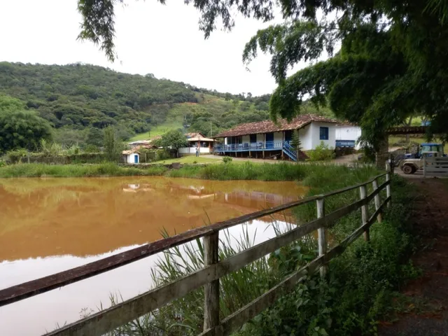 Imagem 11: Fazenda de 138 Há em Carmópolis de Minas Mg