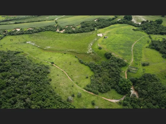Imagem 7: Fazenda de 138 Há em Carmópolis de Minas Mg