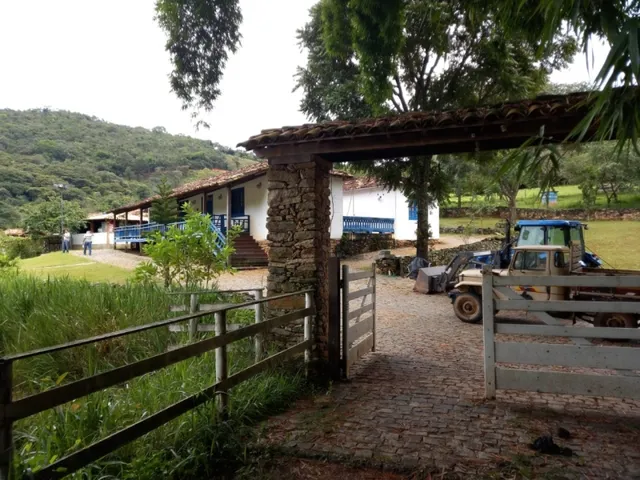 Imagem 14: Fazenda de 138 Há em Carmópolis de Minas Mg