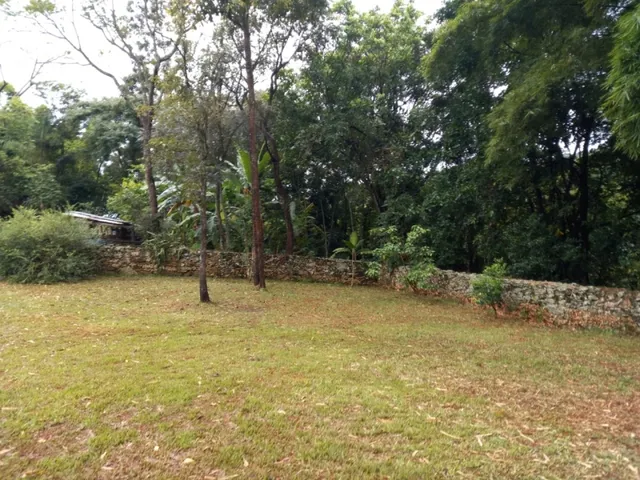 Imagem 4: Fazenda de 138 Há em Carmópolis de Minas Mg