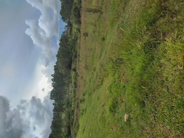 Imagem: Fazenda de 15 Há em Desterro de Entre Rios