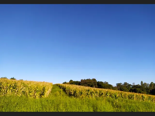Imagem 7: Sítio santa Rita de Caldas Mg 38 Hectares Barato com Eucalipto/Pastagem/Nascentes