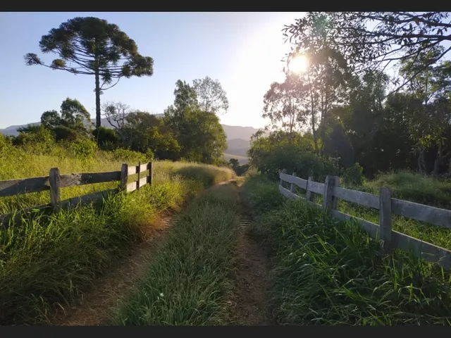Imagem 10: Sítio santa Rita de Caldas Mg 38 Hectares Barato com Eucalipto/Pastagem/Nascentes