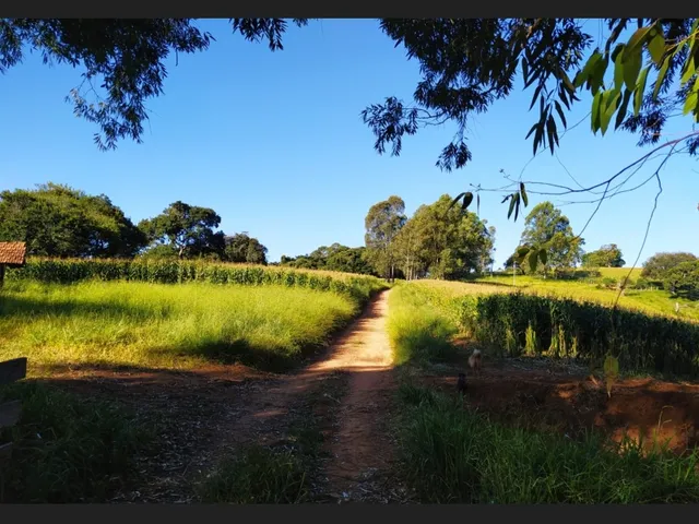 Imagem 9: Sítio santa Rita de Caldas Mg 38 Hectares Barato com Eucalipto/Pastagem/Nascentes