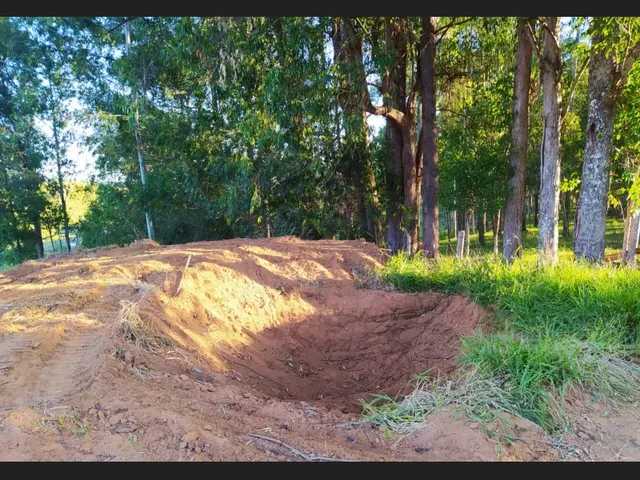 Imagem 4: Sítio santa Rita de Caldas Mg 38 Hectares Barato com Eucalipto/Pastagem/Nascentes