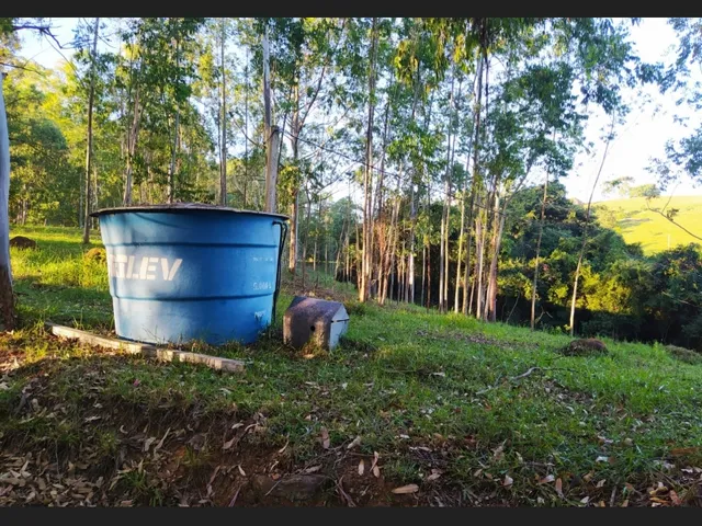 Imagem 3: Sítio santa Rita de Caldas Mg 38 Hectares Barato com Eucalipto/Pastagem/Nascentes