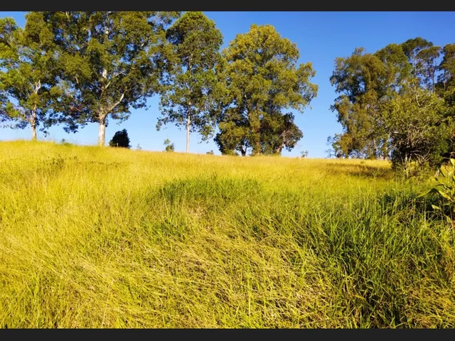 Imagem 11: Sítio santa Rita de Caldas Mg 38 Hectares Barato com Eucalipto/Pastagem/Nascentes