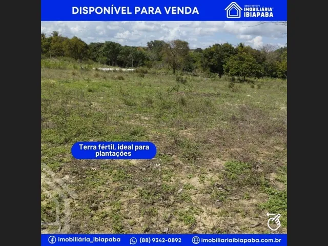 Imagem 3: Excelente Oportunidade de Investimento!