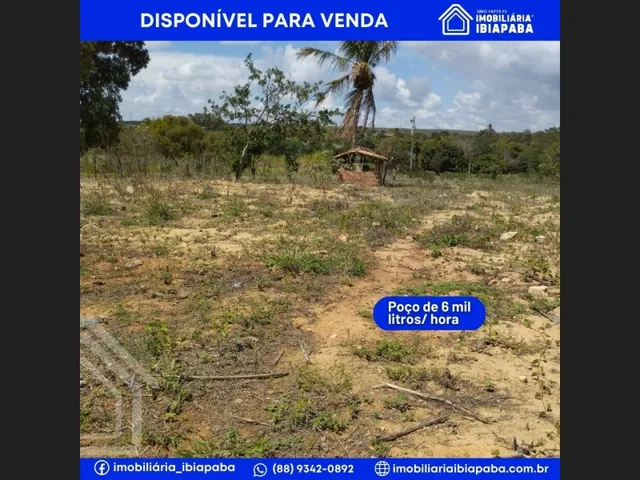 Imagem 4: Excelente Oportunidade de Investimento!
