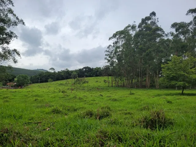 Imagem: Fazenda de 18 Há em Carmópolis de Minas