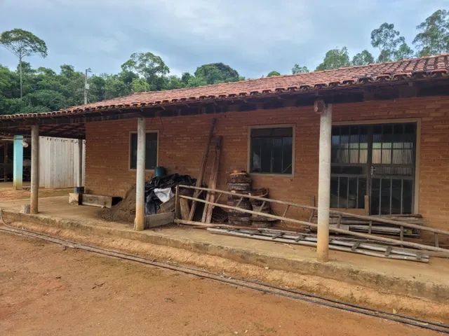 Imagem 8: Fazenda de 18 Há em Carmópolis de Minas Mg