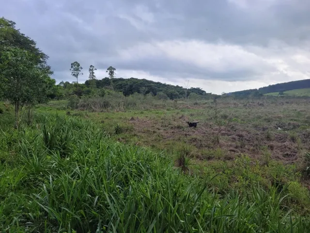 Imagem 11: Fazenda de 18 Há em Carmópolis de Minas Mg