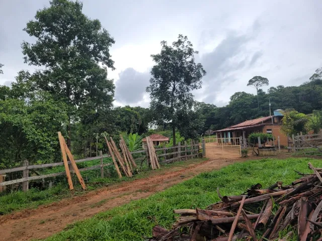 Imagem 16: Fazenda de 18 Há em Carmópolis de Minas Mg