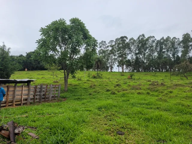 Imagem 2: Fazenda de 18 Há em Carmópolis de Minas Mg