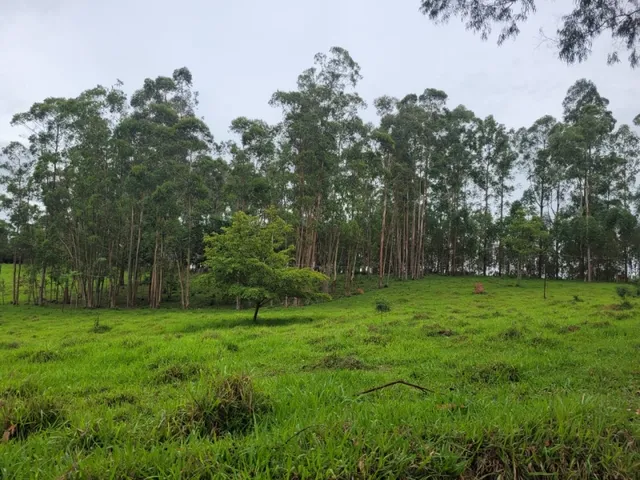 Imagem 12: Fazenda de 18 Há em Carmópolis de Minas Mg